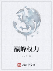 巅峰权力