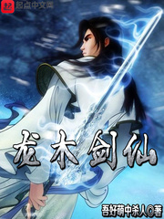龙木剑仙