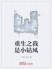 重生之我是小钻风