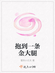 抱到一条金大腿