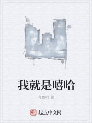 我就是嘻哈