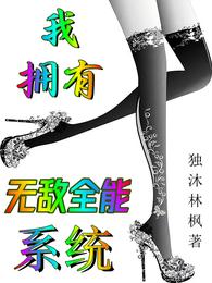 我拥有无敌全能系统