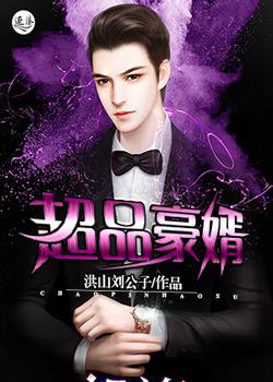超品豪婿